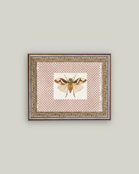 Beetle Moth 10x8