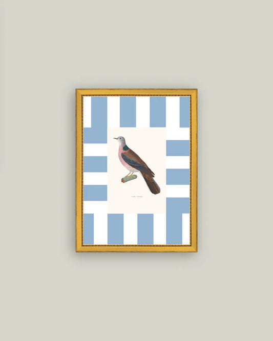Colored Dove 11x15