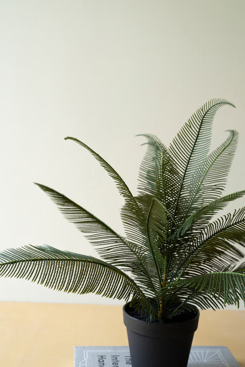 Artificial Phoenix Plant in a Black Plastic Pot