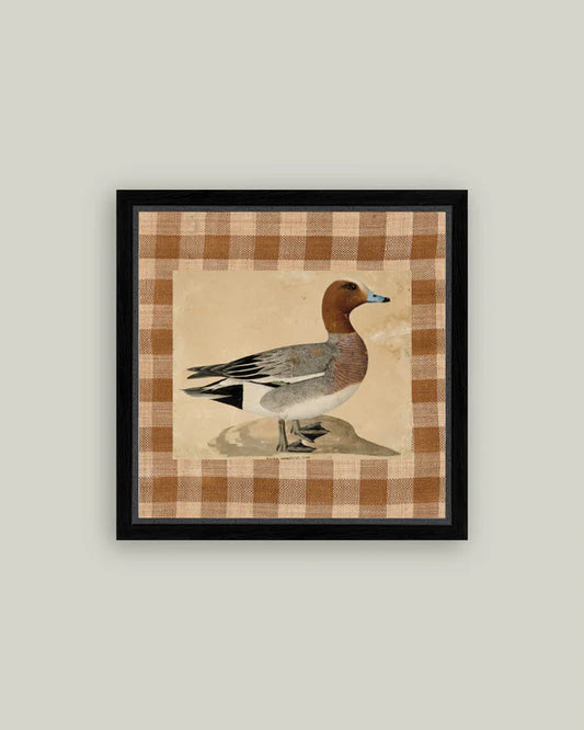 Eurasian Wigeon 15x15