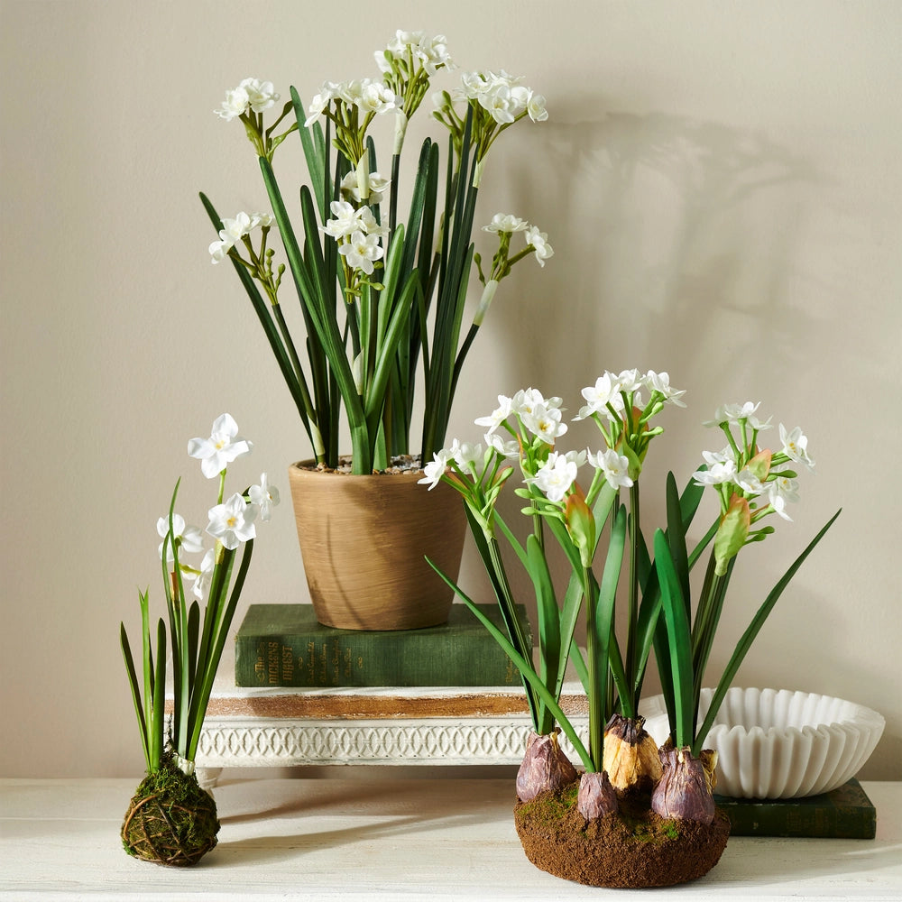 15" Narcissus Drop In