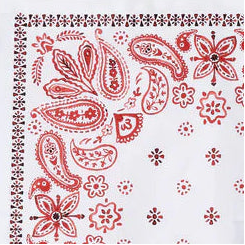 American Holiday Dish Towel Bandana
