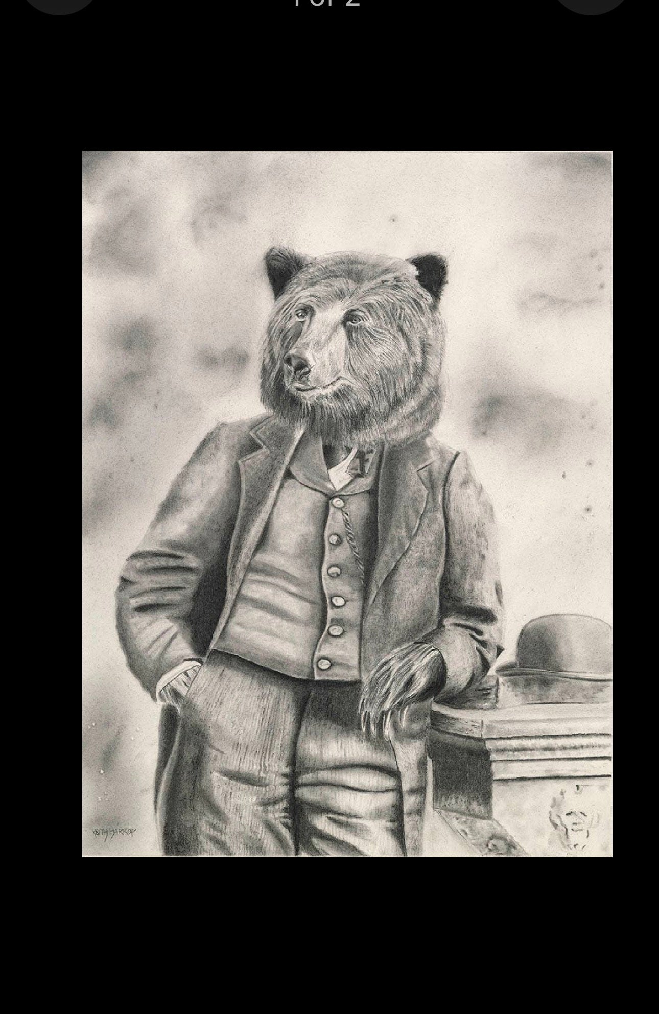 Postcard Bear Pencil Drawing