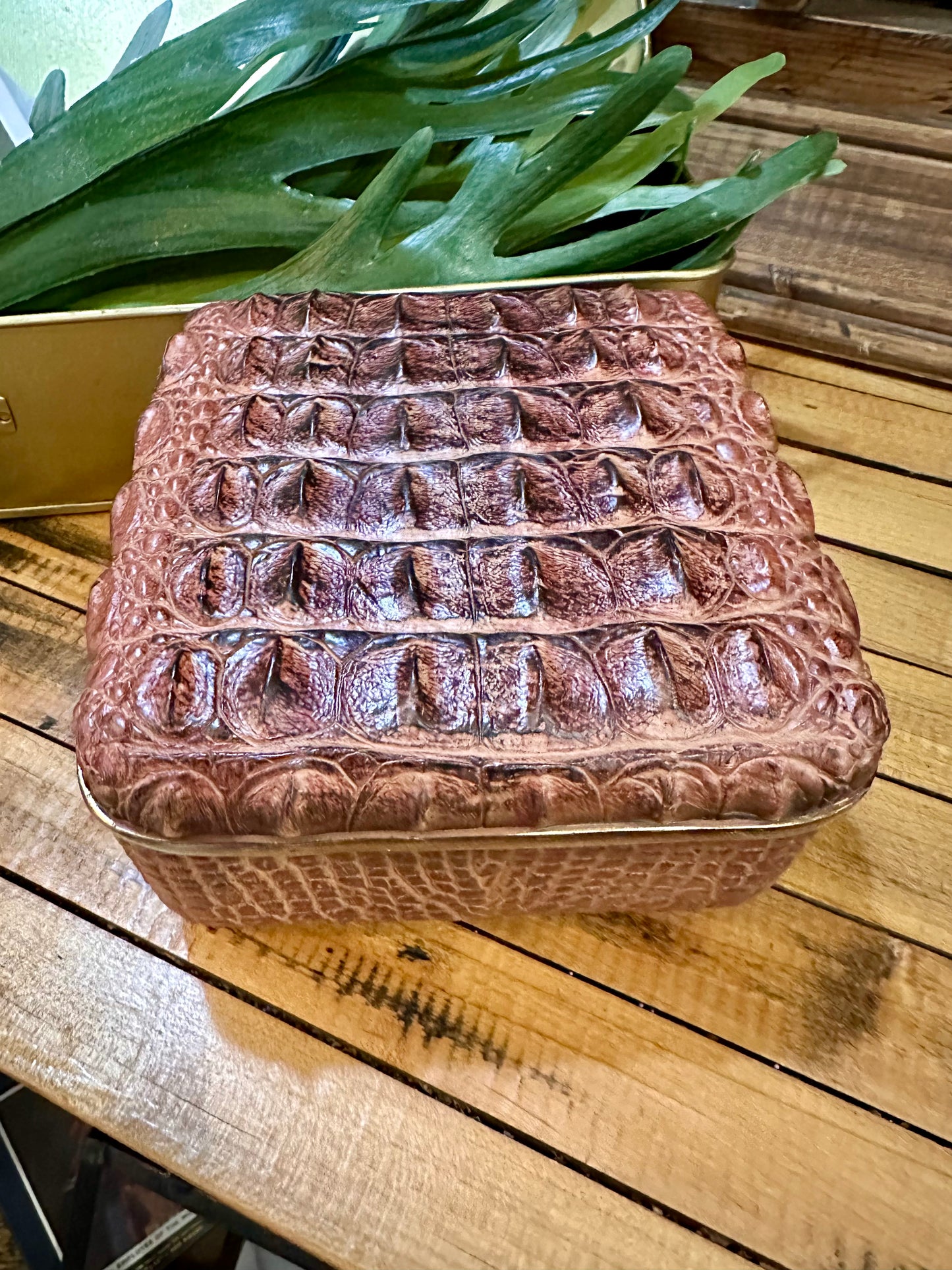 Brown Alligator Skin Square Box