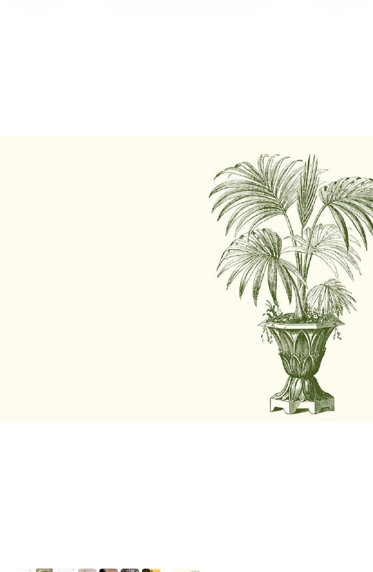 Palm Urn A2 Notes