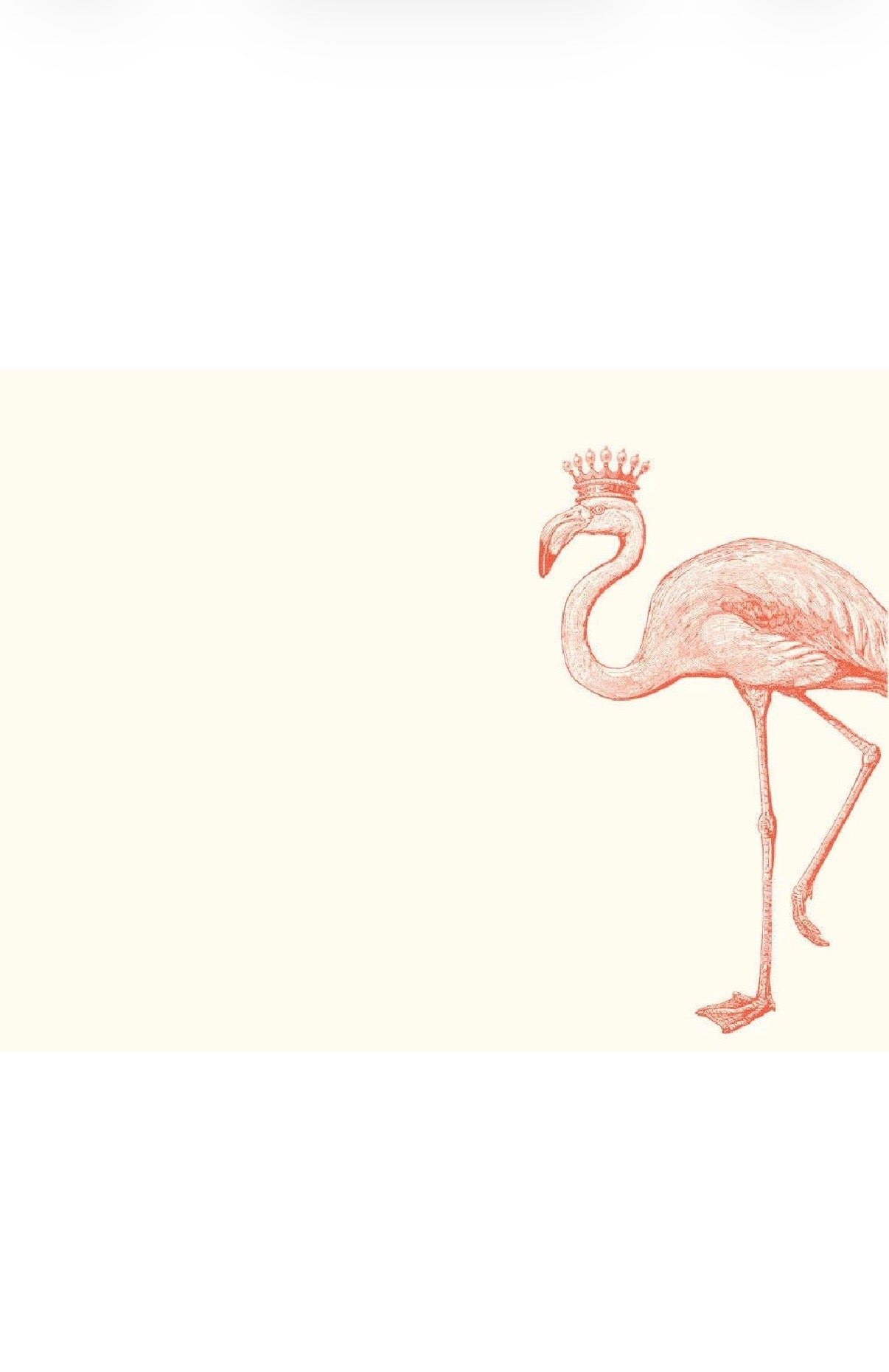 Royal Flamingo A2 Notes