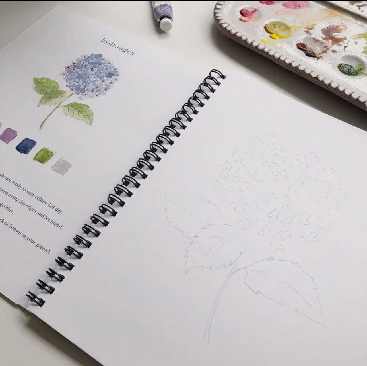 Flowers Emily Lex Watercolor Workbook