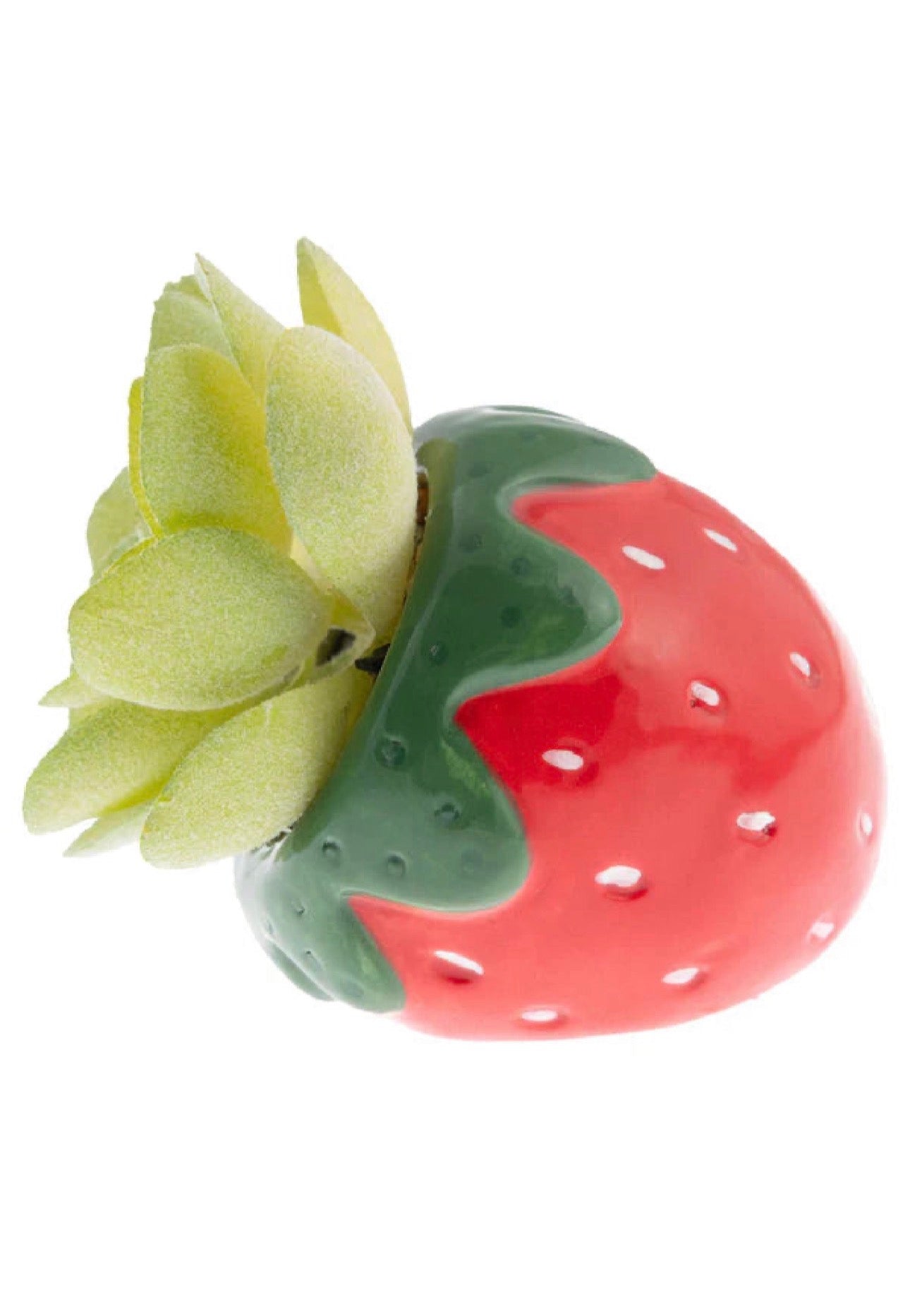 Shaped Succulent Pot Strawberry