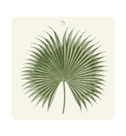 Palm Gift Tags