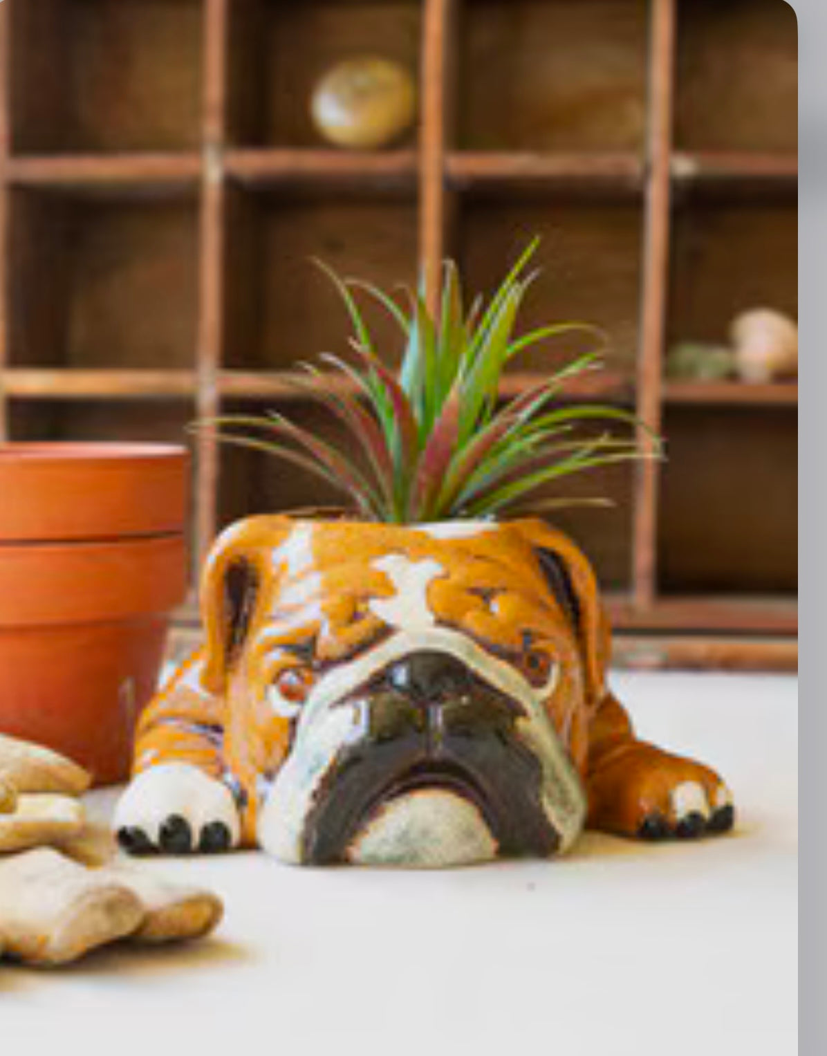 Bulldog Planter