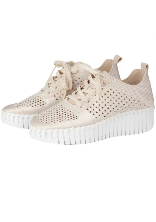 Isle Jacobsen Tulip 4271