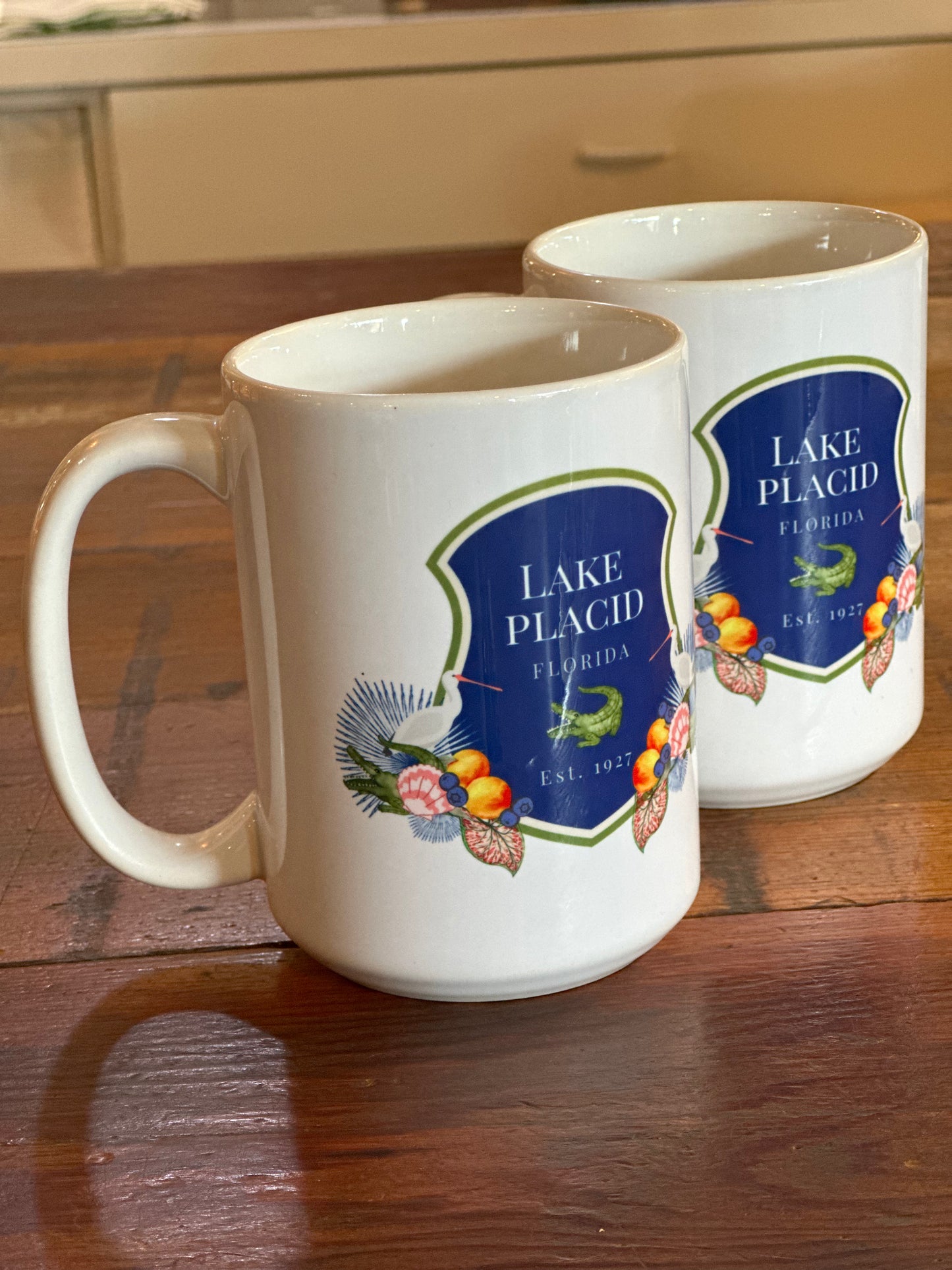 Lake Placid Porcelain Mug