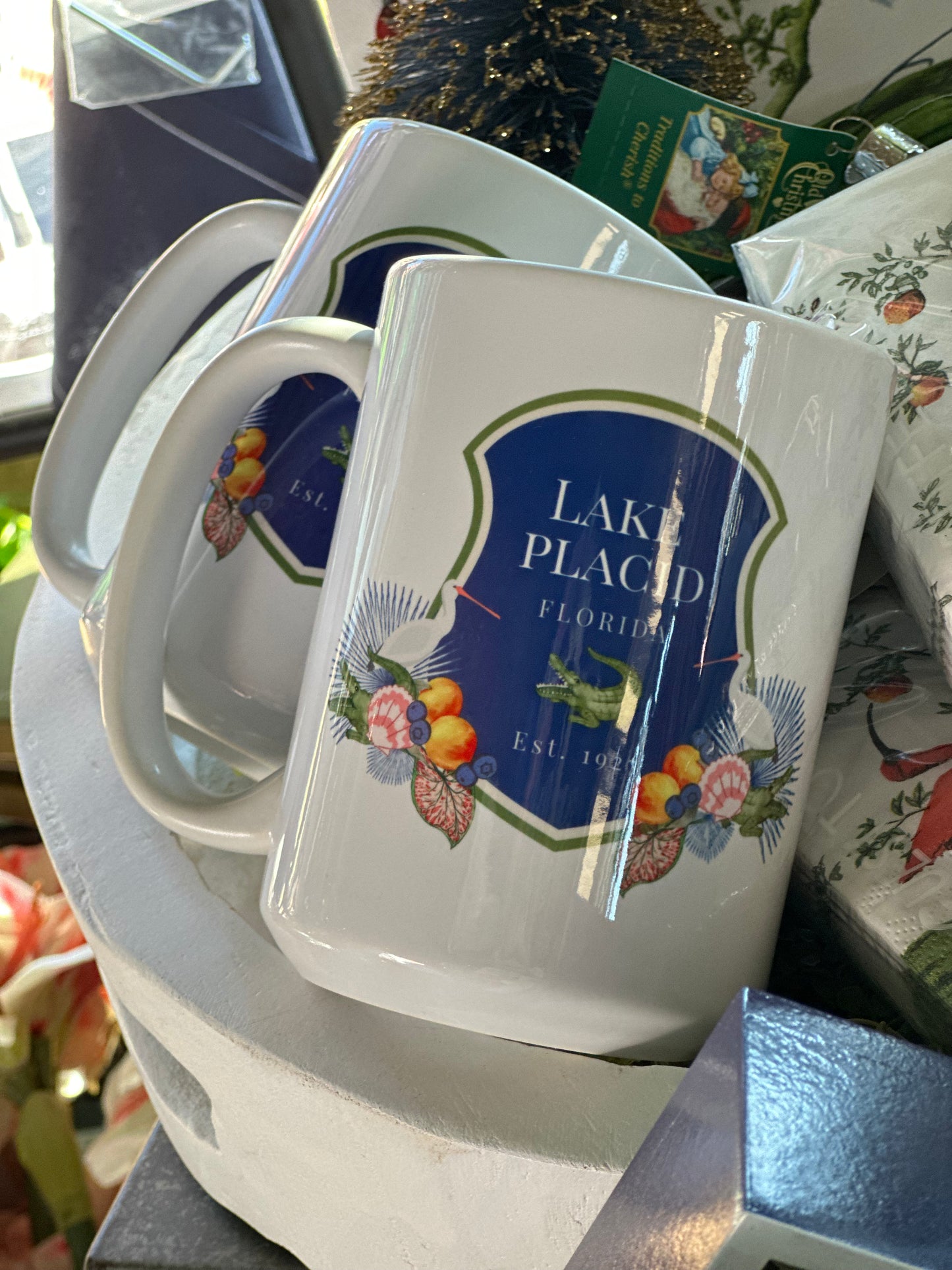 Lake Placid Porcelain Mug