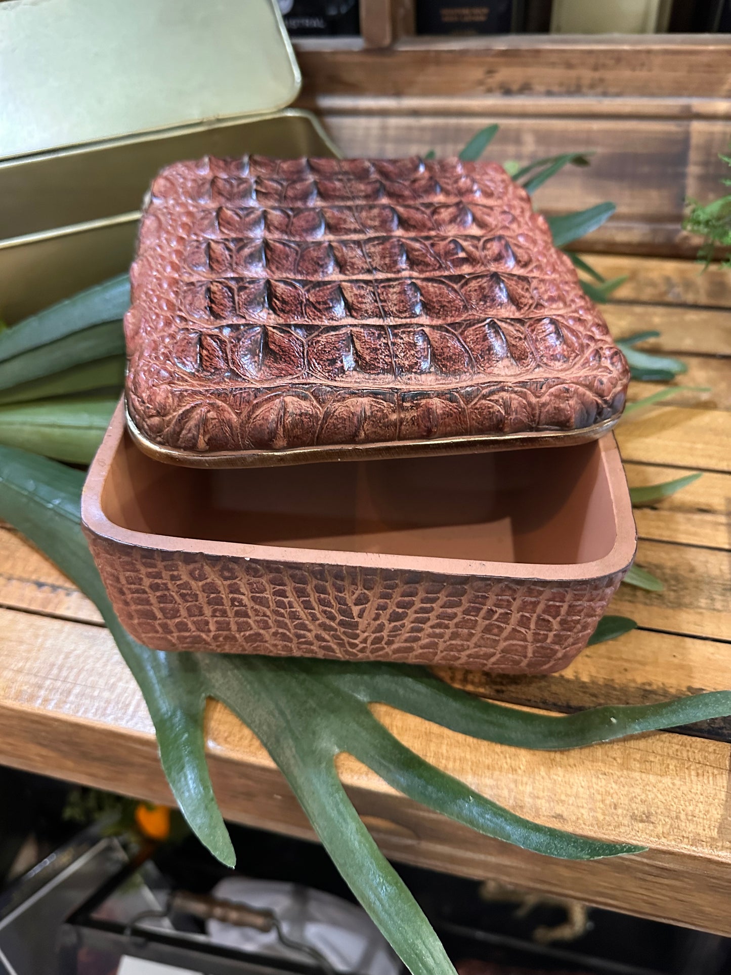 Brown Alligator Skin Square Box