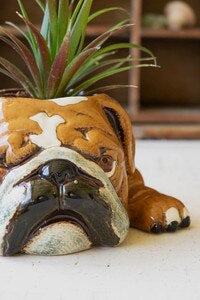 Bulldog Planter