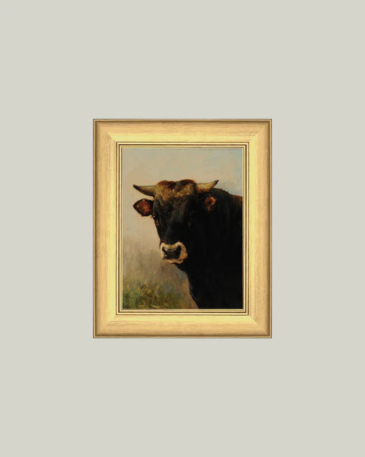 Black Ox Head 9x12