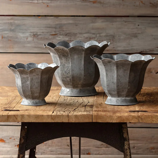 Trompette Metal Planters