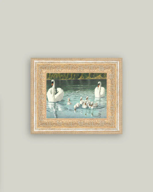 Swan Family 12x10