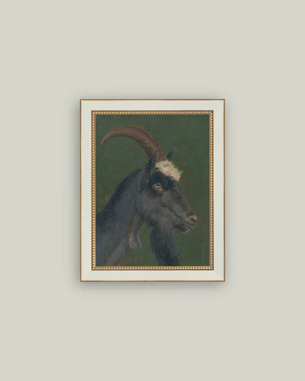 The Goat 4x6