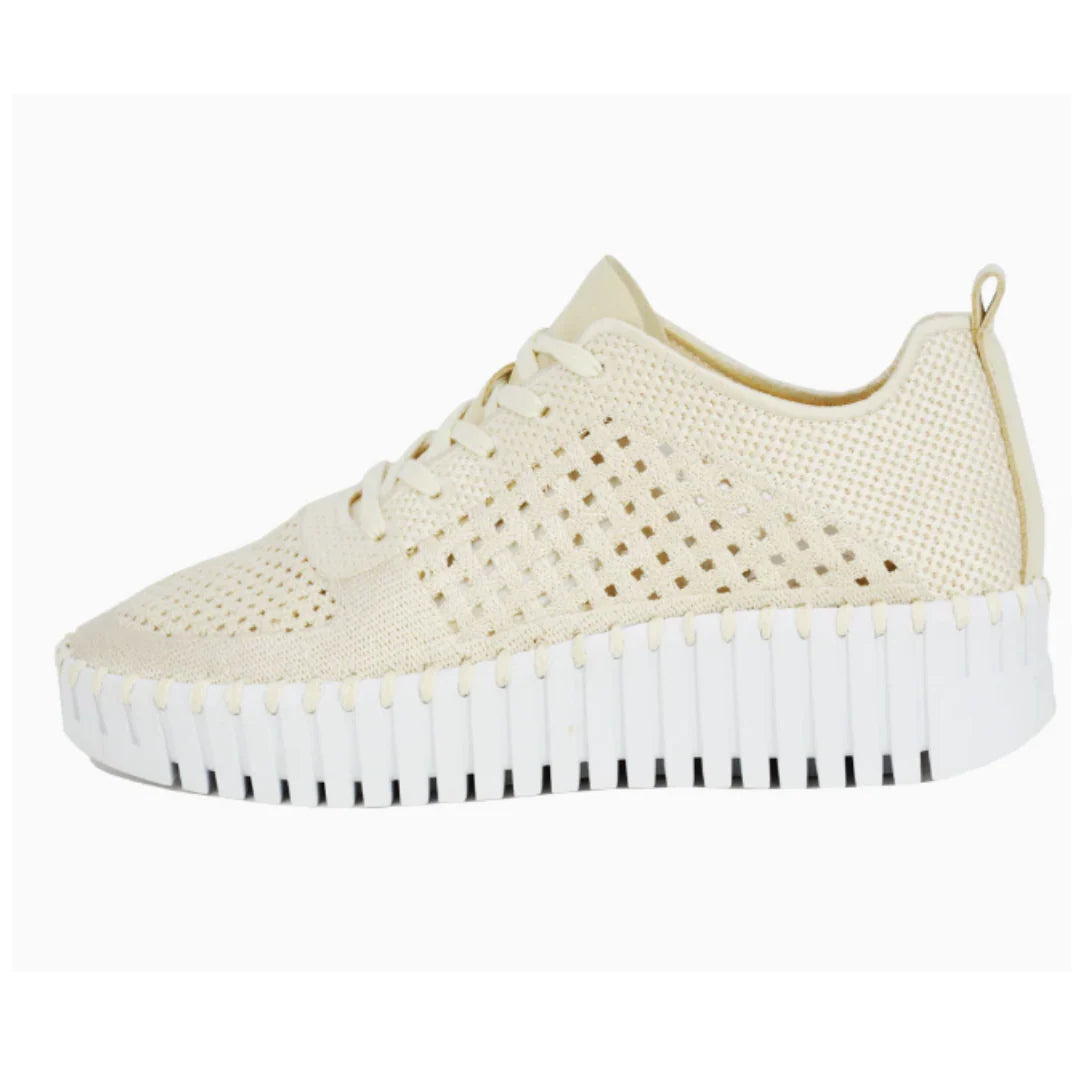 Isle Jacobsen Tulip 4271