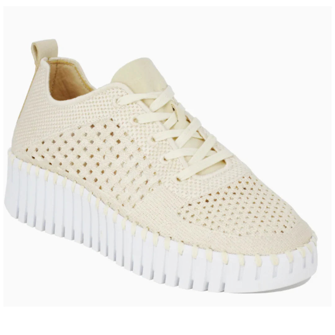 Isle Jacobsen Tulip 4271