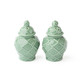 Green Textured Jar Salt & Pepper Shaker Boxed Set