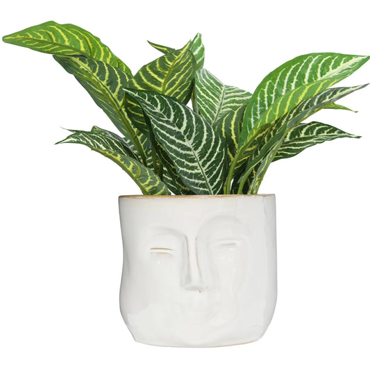 Face Planter