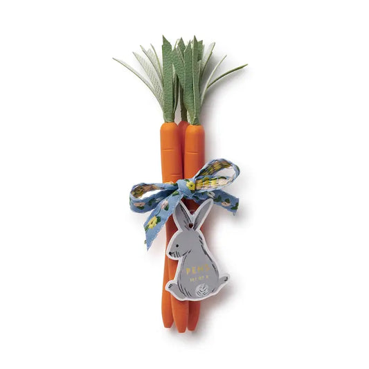 Bunch of Carrot Easter Pens