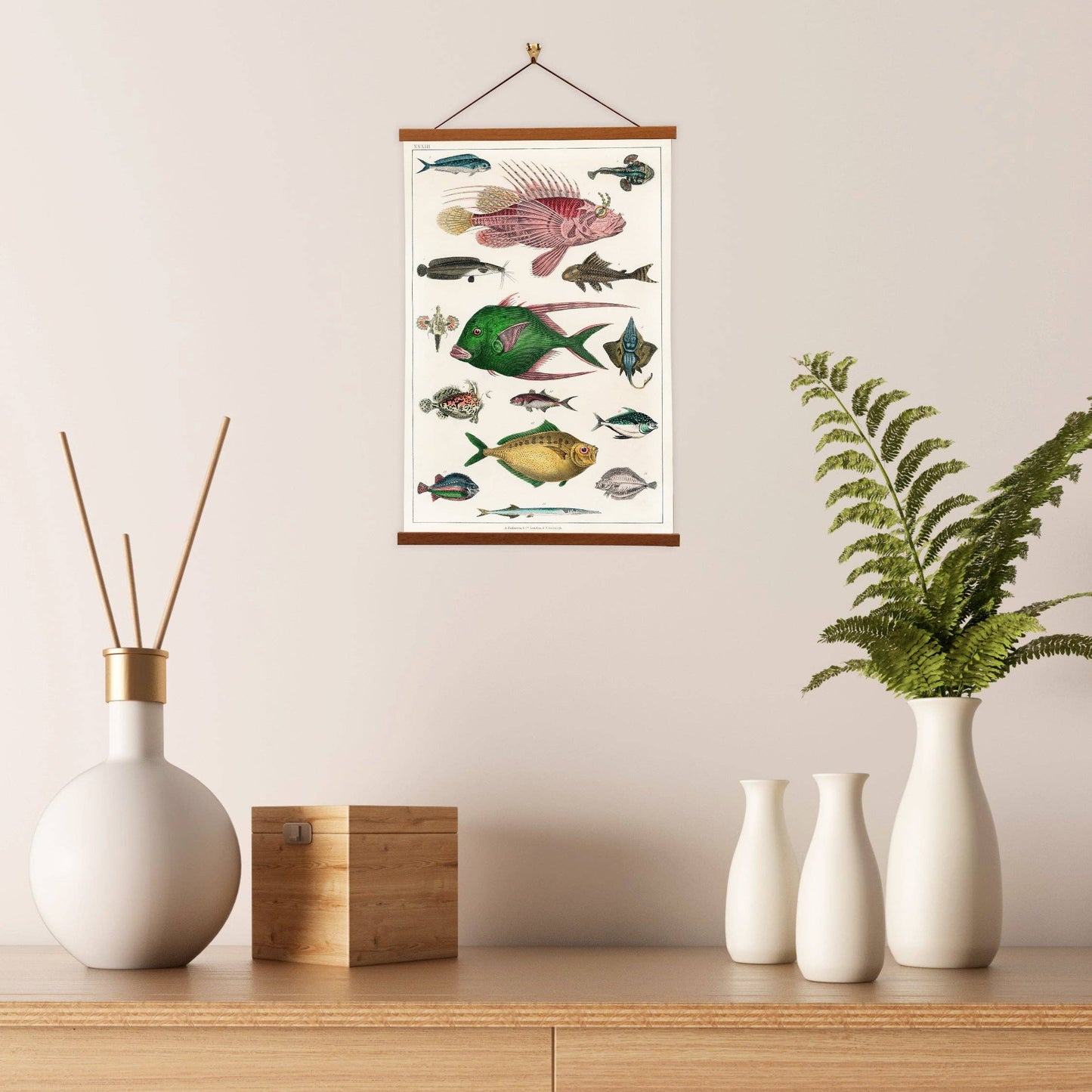 Fishes - Oliver Goldsmith - Scientific Illustration Art