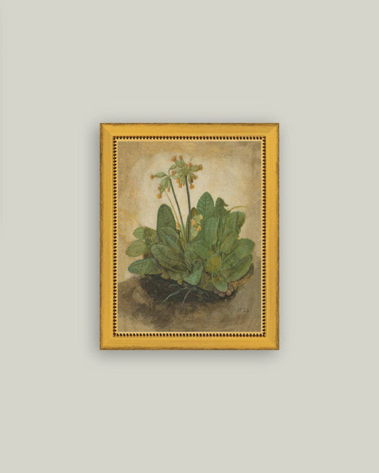 Tuft of Cowslips: 7x9