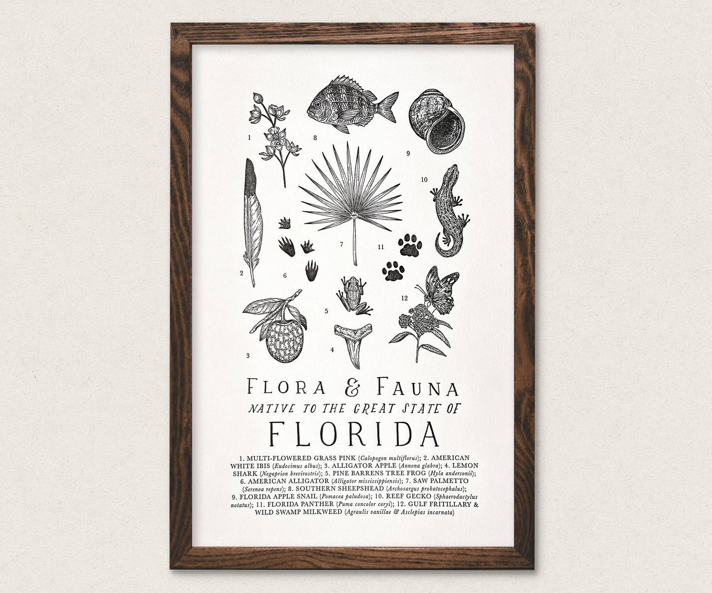 Florida Field Guide Print