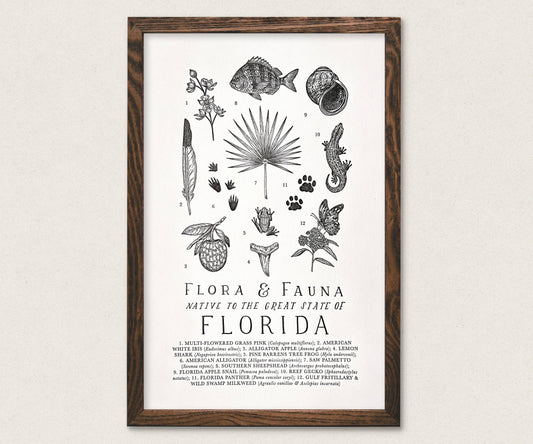 Florida Field Guide Print