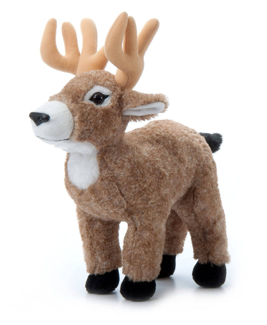Wild Onez Buck