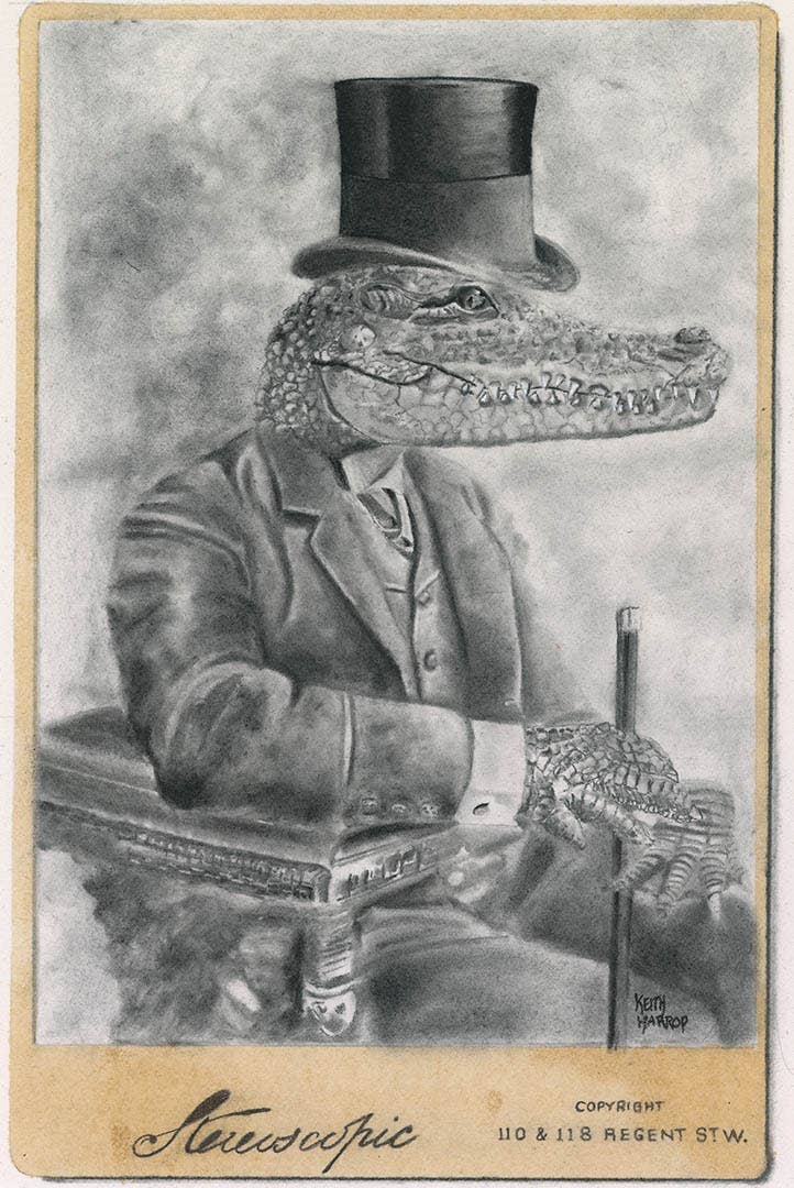 Postcard Alligator Pencil Art