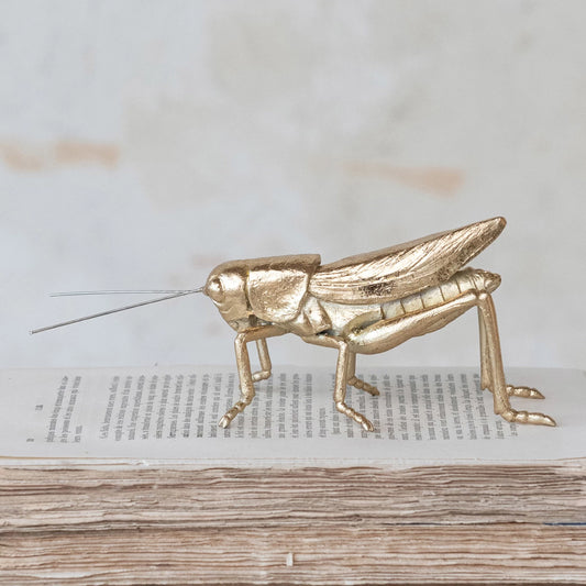 Gold Grasshopper