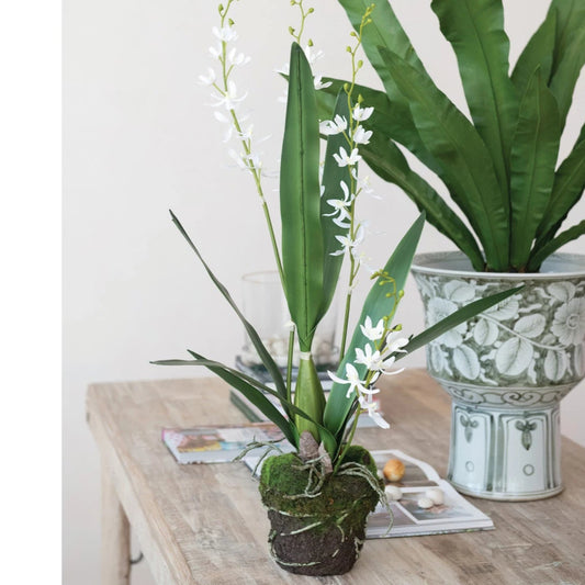 Faux Orchid w/ Faux Moss & Exposed Roots