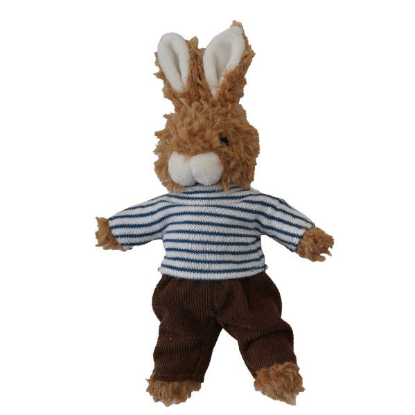 Plush Bunny in Clothes