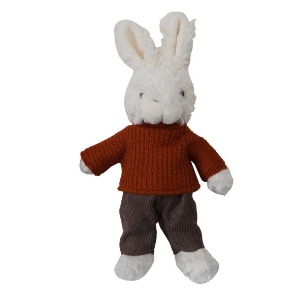 Plush Bunny in Clothes