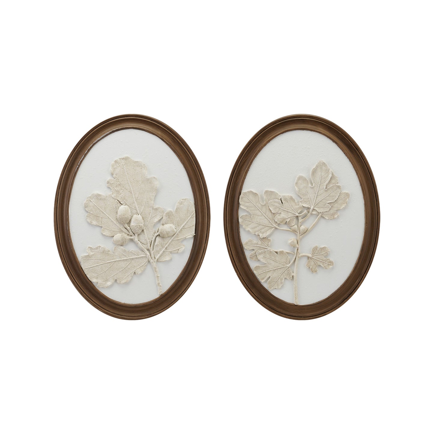 Oval Wood Framed Wall Decor with Plaster Cast Leaves & Acorns, White & Brown, 2 Styles