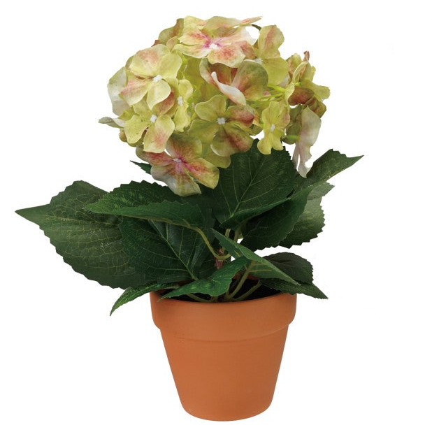 Faux Hydrangea in Plastic Pot, 2 Colors