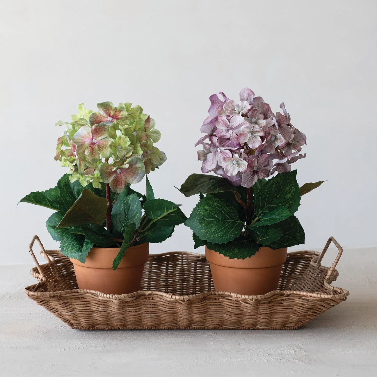 Faux Hydrangea in Plastic Pot, 2 Colors