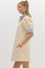 Contrast Ruffle Collar Polo Dress