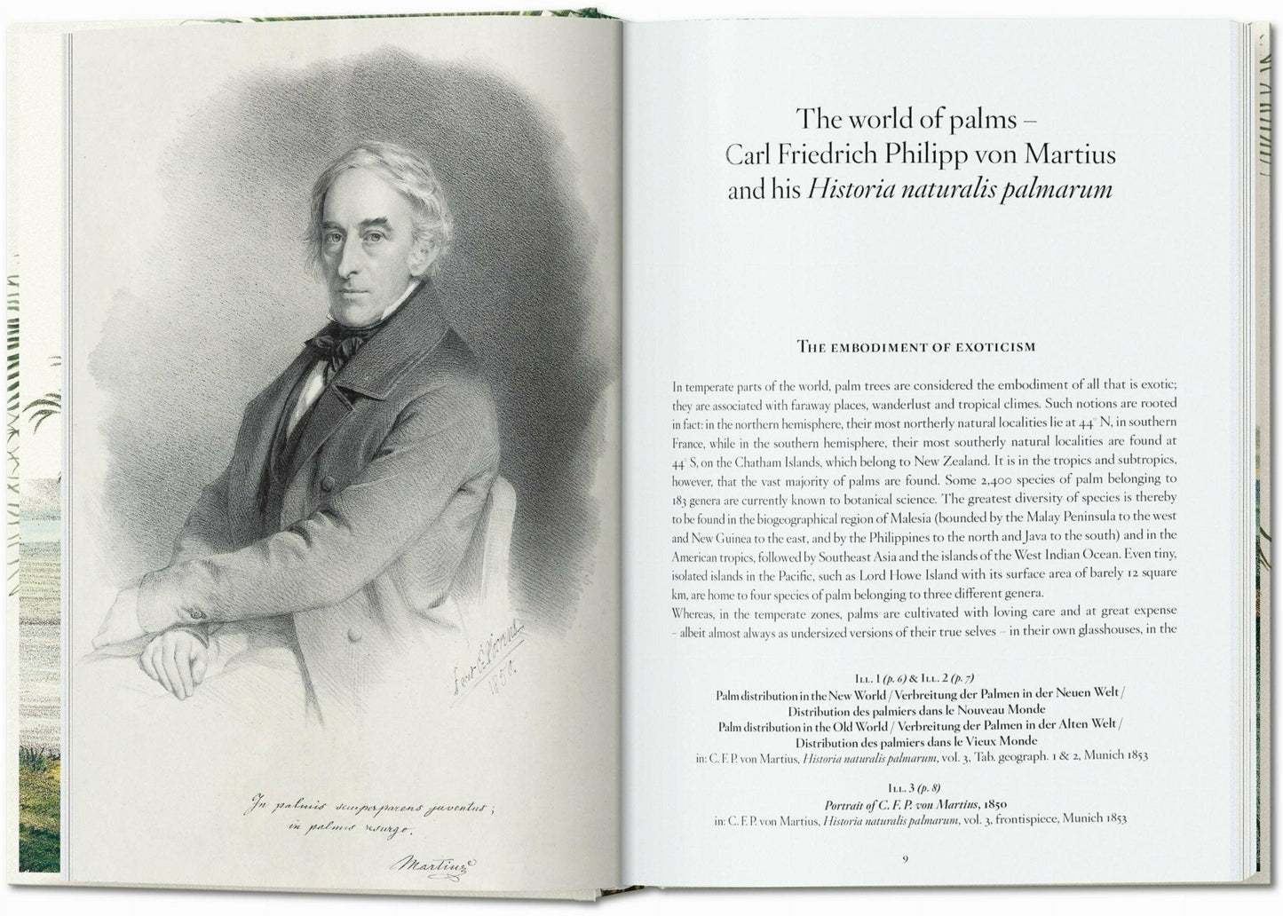 Martius. The Book of Palms. 45th Ed.