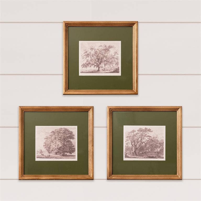 Framed Print - Olive Matted Tree Sketch