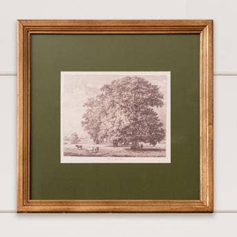 Framed Print - Olive Matted Tree Sketch