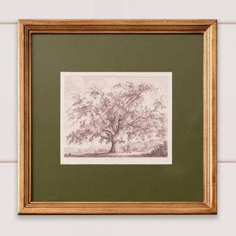 Framed Print - Olive Matted Tree Sketch
