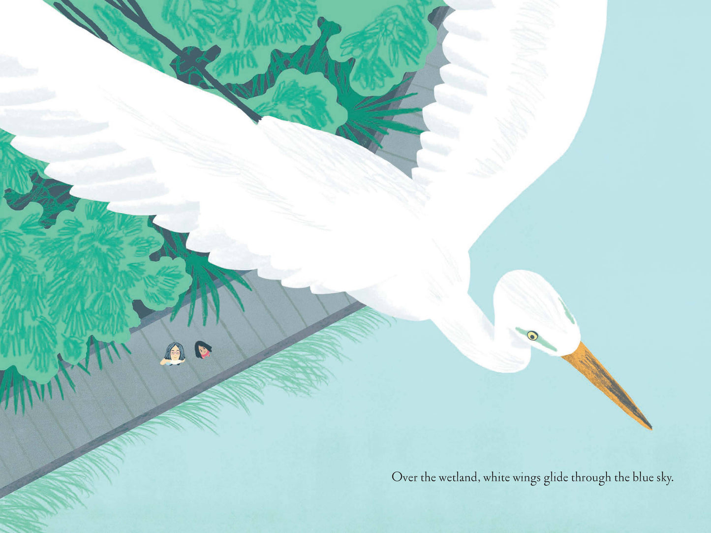Over and Under the Wetland