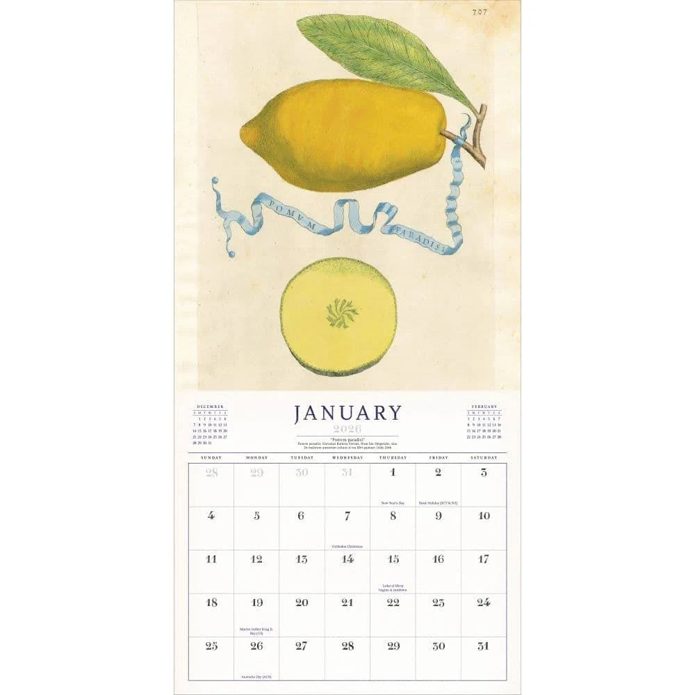 World of John Derian Wall Calendar 2026